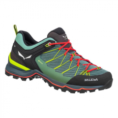 Topánky Salewa womens MTN TRAINER LITE GTX