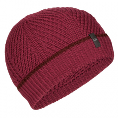 Čiapka Icebreaker Adult Waypoint Beanie