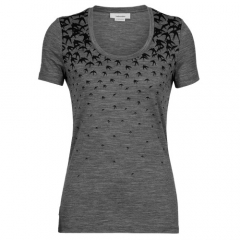 Tričko krátky rukáv Icebreaker Women Tech Lite II SS Scoop Tee Migration