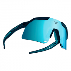 Okuliare Dynafit Ultra Evo Sunglasses