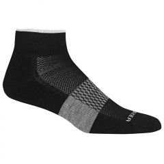 Ponožky Icebreaker Mens Multisport Light Mini