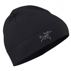 Čiapka Arcteryx Rho Toque