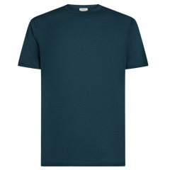 Tričko krátky rukáv Icebreaker Men Merino 150 Tech Lite III SS Tee