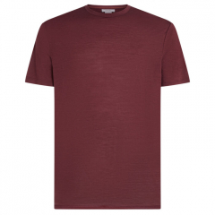 Tričko krátky rukáv Icebreaker Men Merino 150 Tech Lite III SS Tee