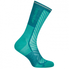 Ponožky Icebreaker Women Merino Run+ Ultralight Crew