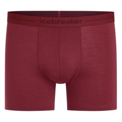 Boxerky Icebreaker Men's Anatomica Boxers