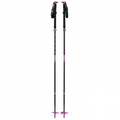 Paličky Black Diamond EXPEDITION SKI POLES