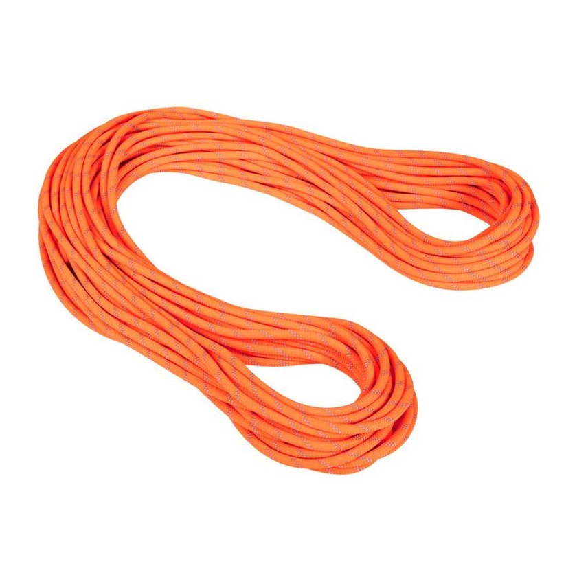 Lano Mammut 9.5 Alpine Dry Rope