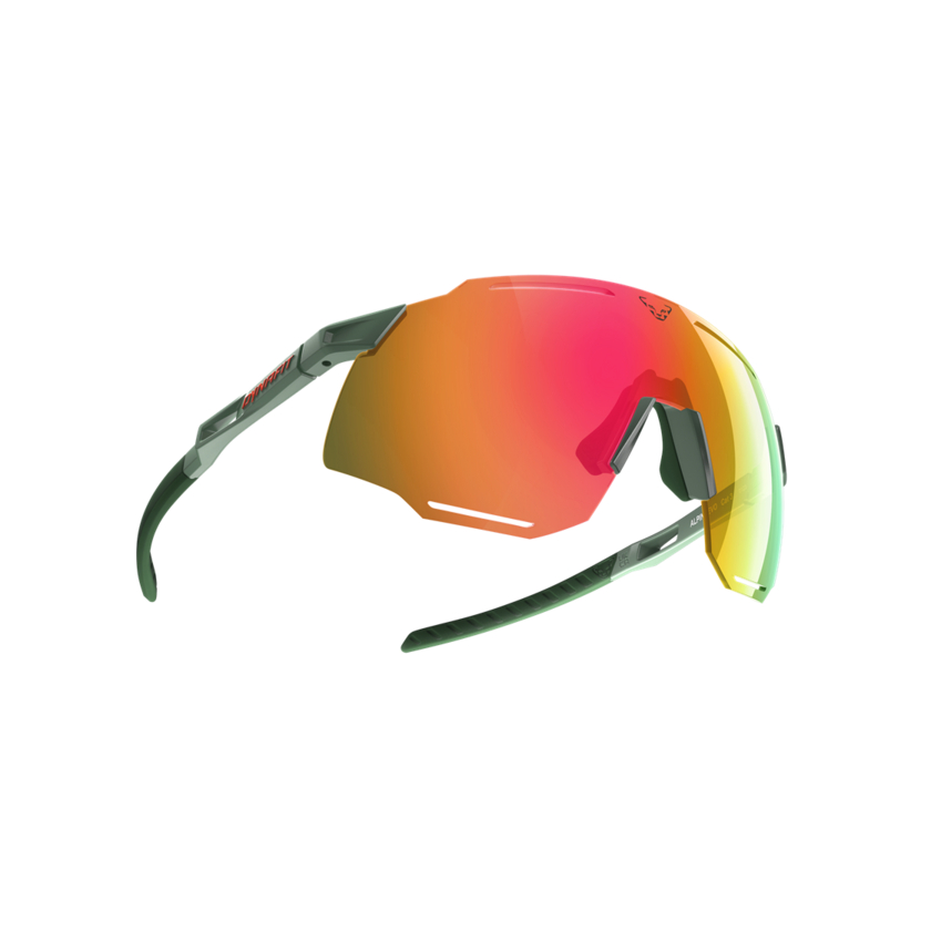 Okuliare Dynafit Alpine Evo Sunglasses