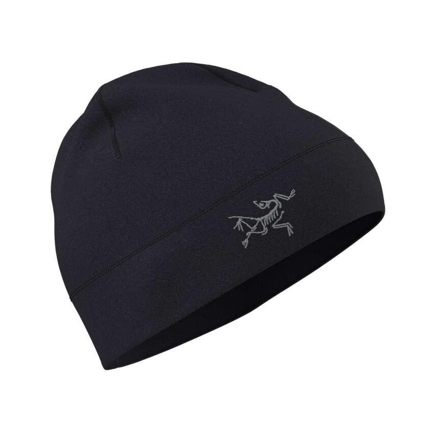 Čiapka Arcteryx Rho Toque