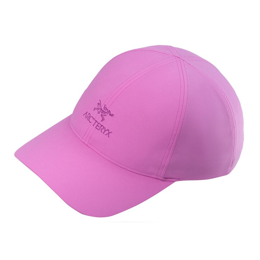 Čiapka Arcteryx Bird Word Cap