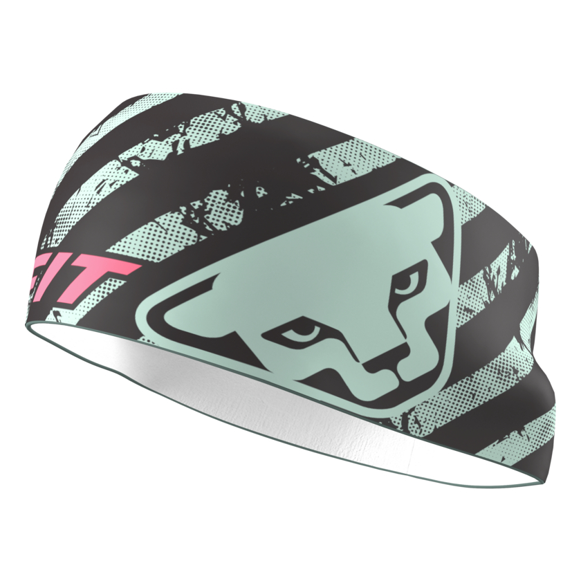 Čelenka Dynafit Graphic Performance Headband