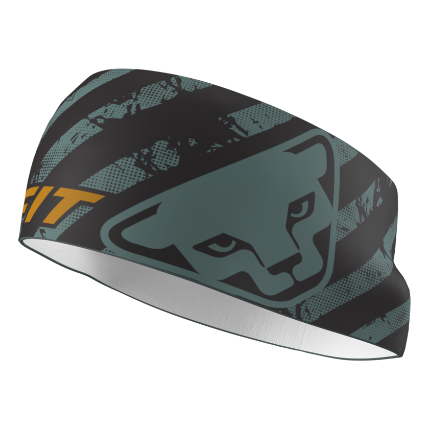 Čelenka Dynafit Graphic Performance Headband