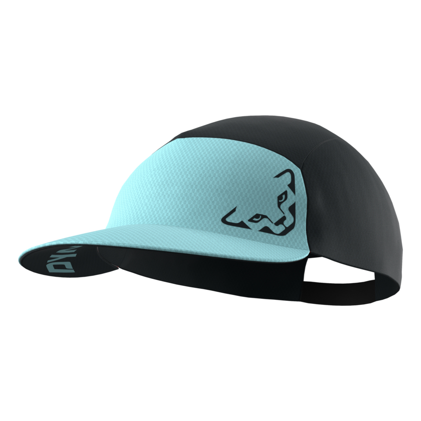 Šilt Dynafit Alpine Visor Cap Unisex