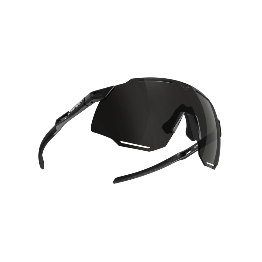 Okuliare Dynafit Alpine Sunglasses Unisex