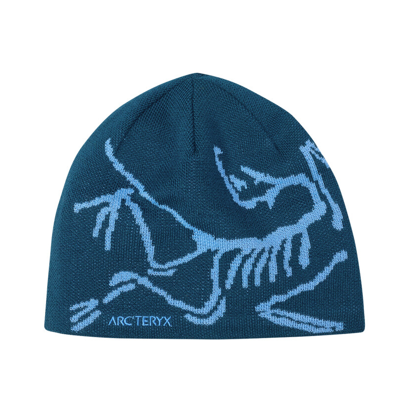 Čiapka Arcteryx Bird Head Toque