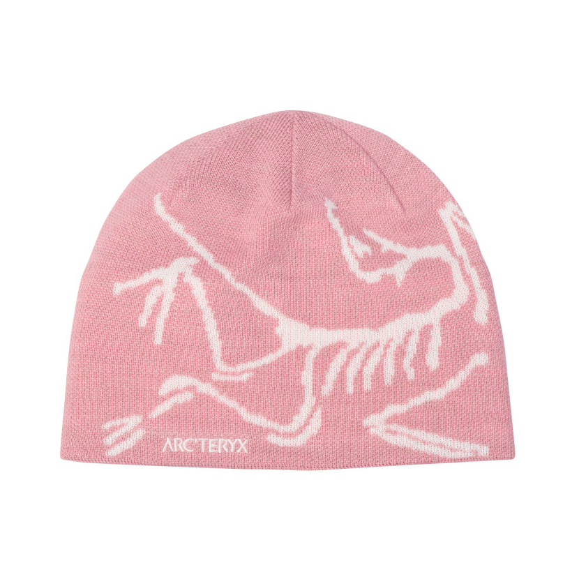 Čiapka Arcteryx Bird Head Toque