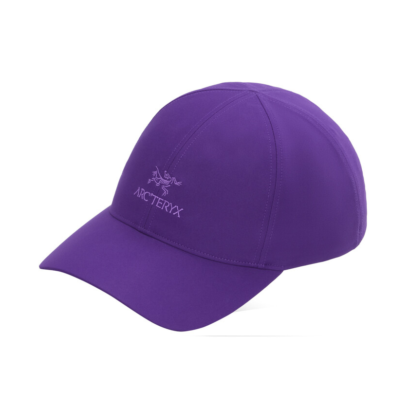 Šiltovka Arcteryx Bird Word Cap