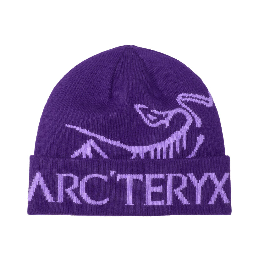 Čiapka Arcteryx Bird Word Toque