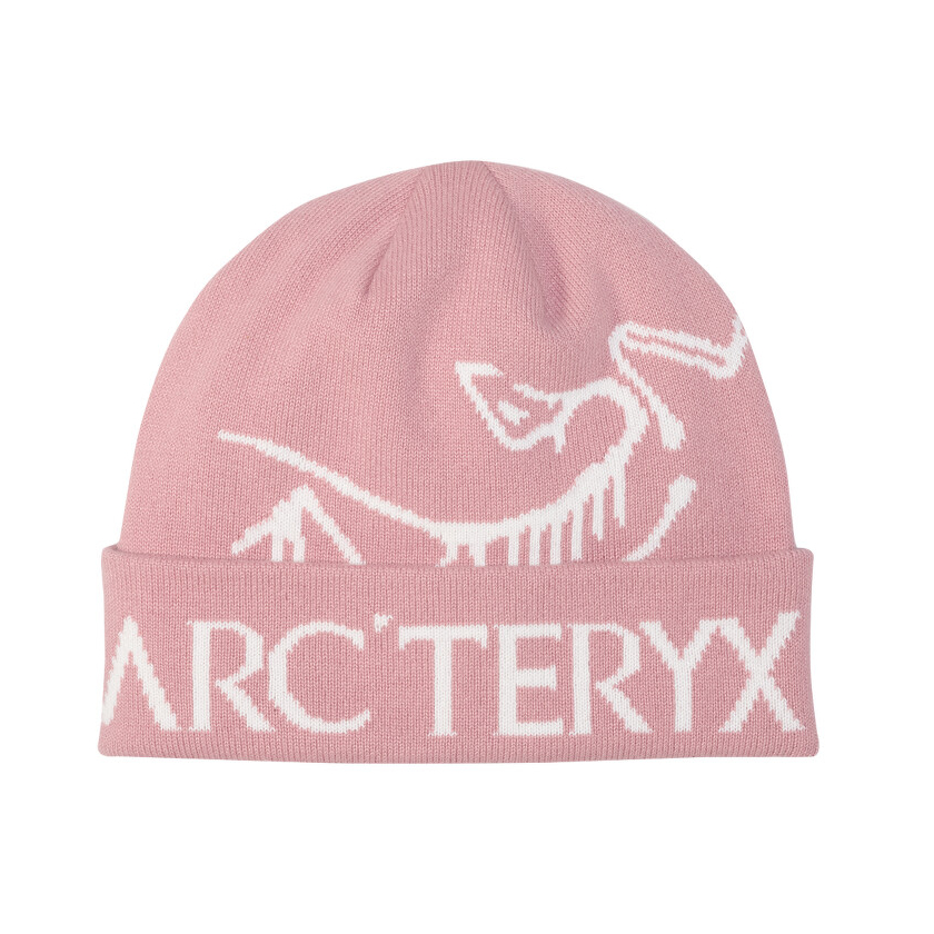 Čiapka Arcteryx Bird Word Toque