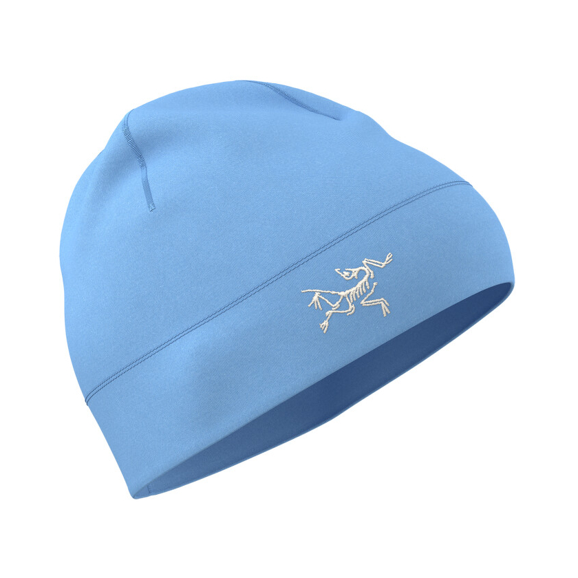 Čiapka Arcteryx Rho Toque