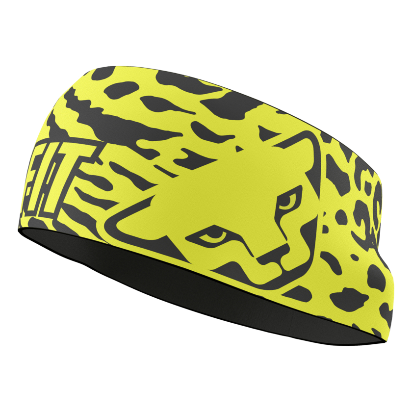 Čiapky Dynafit Graphic Performance Headband
