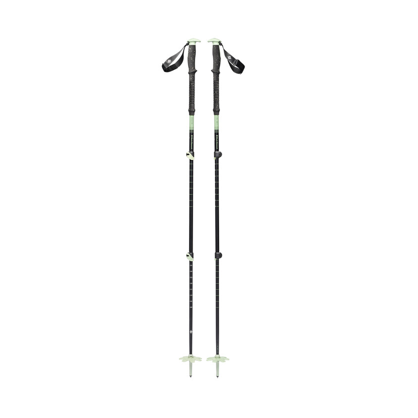 Paličky Black Diamond EXPEDITION 3P SKI POLES