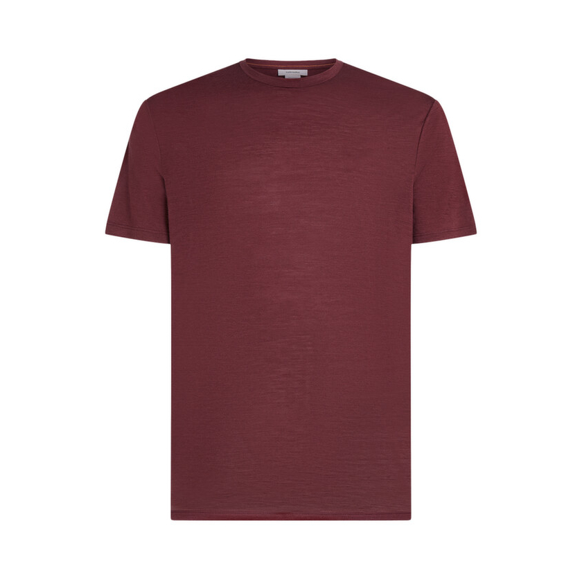 Tričko krátky rukáv Icebreaker Men Merino 150 Tech Lite III SS Tee