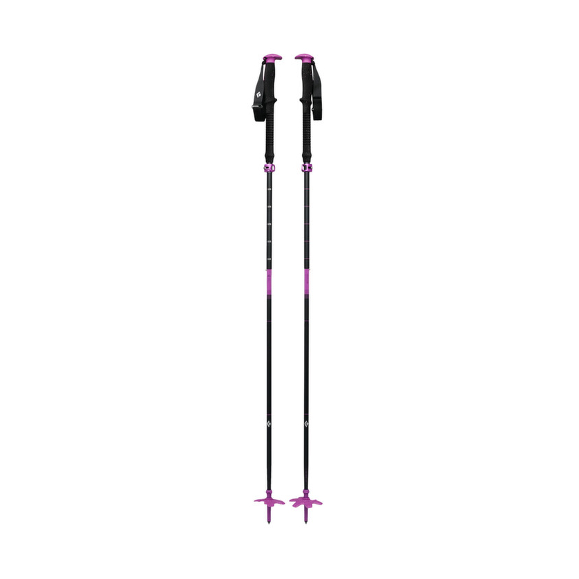 Paličky Black Diamond EXPEDITION SKI POLES