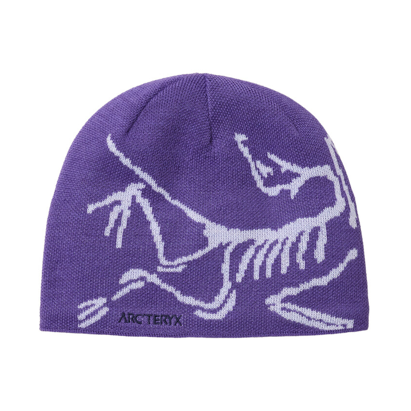 Čiapka Arcteryx Bird Head Toque