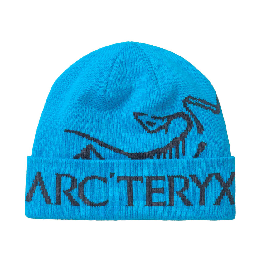 Čiapka Arcteryx Bird Word Toque