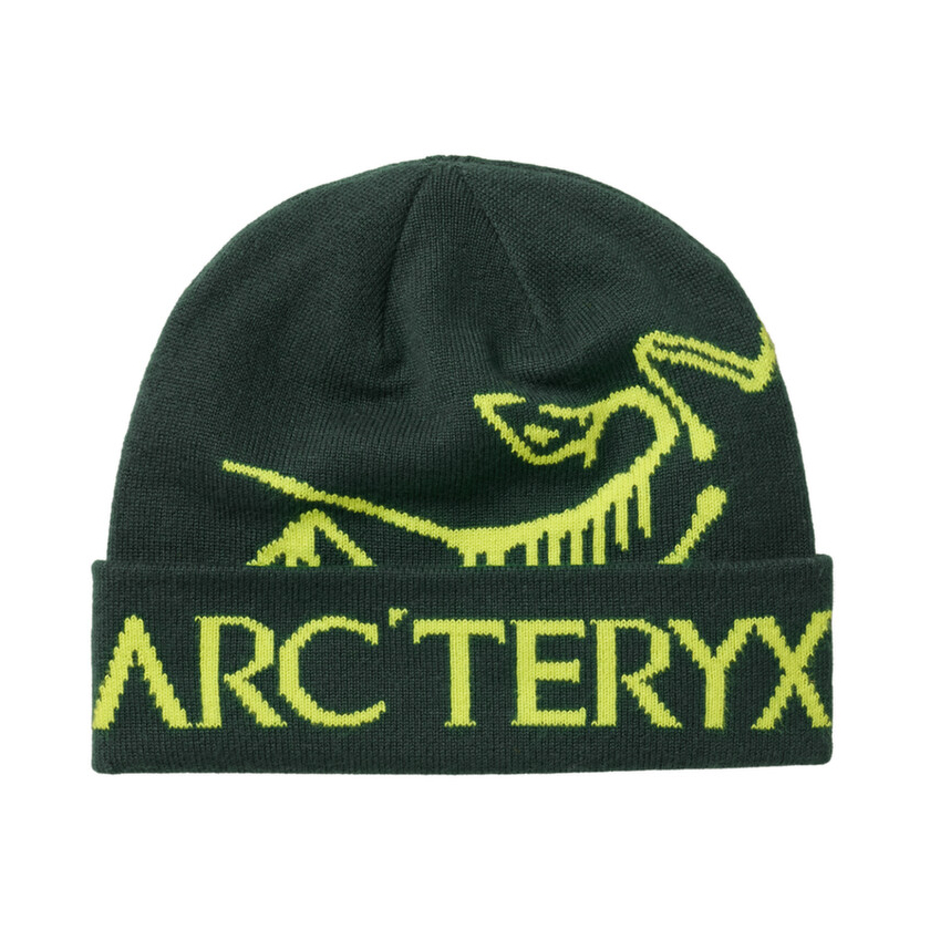 Čiapka Arcteryx Bird Word Toque