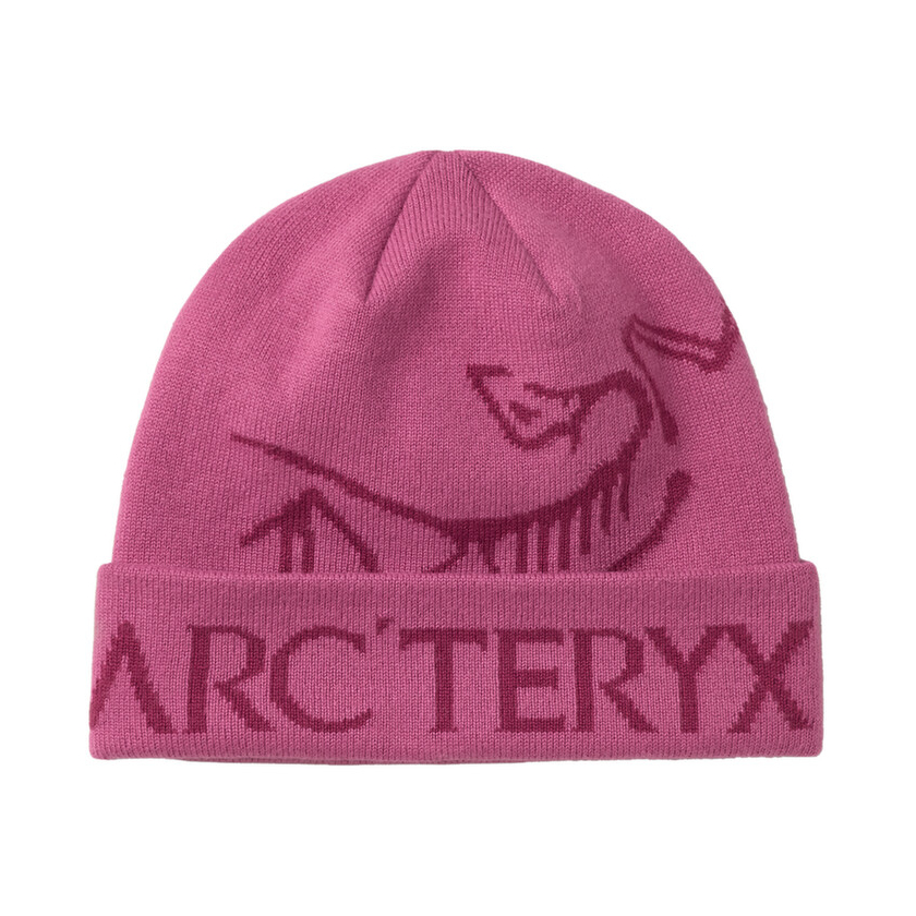 Čiapka Arcteryx Bird Word Toque