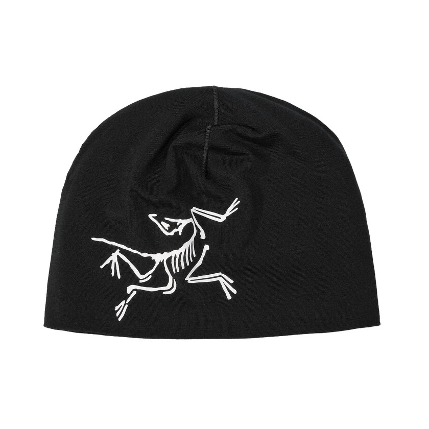 Čiapka Arcteryx Satoro Merino Toque